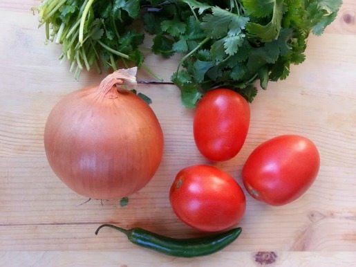Making Salsa Roja Mexicana with onions, tomatoes, chile and cilantro