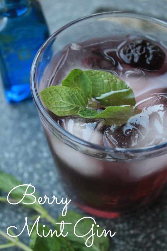 Berry Mint Gin 