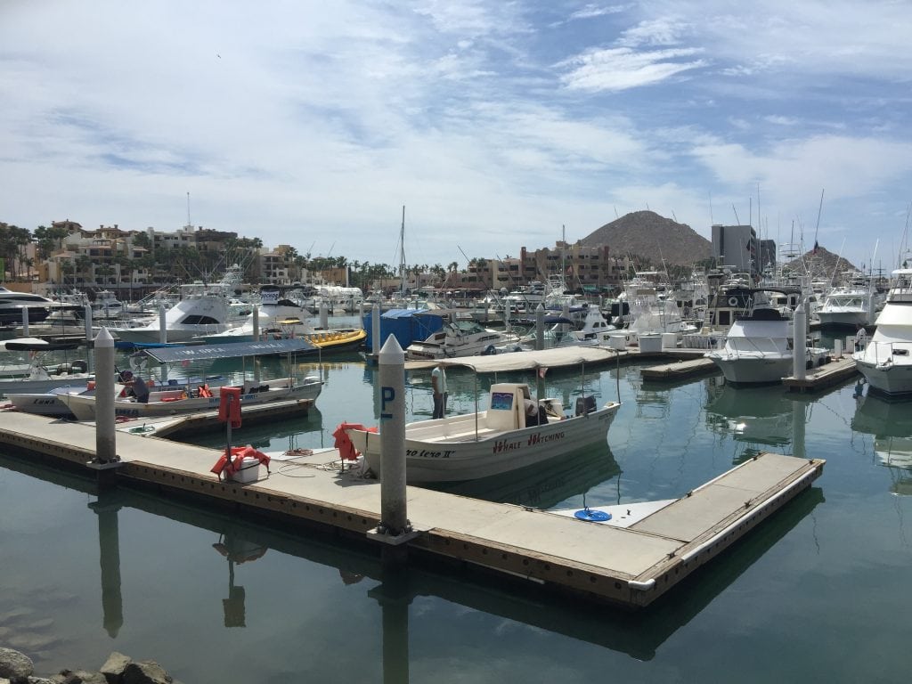 Marina in Cabo San Lucas