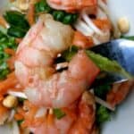 Asian Shrimp Salad - yummy and light, this salad is perfect for summer. by Mama Maggie's Kitchen