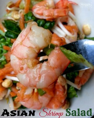 Asian Shrimp Salad - yummy and light, this salad is perfect for summer. by Mama Maggie's Kitchen
