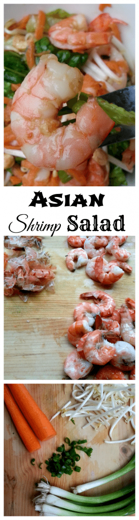 Asian Shrimp Salad 