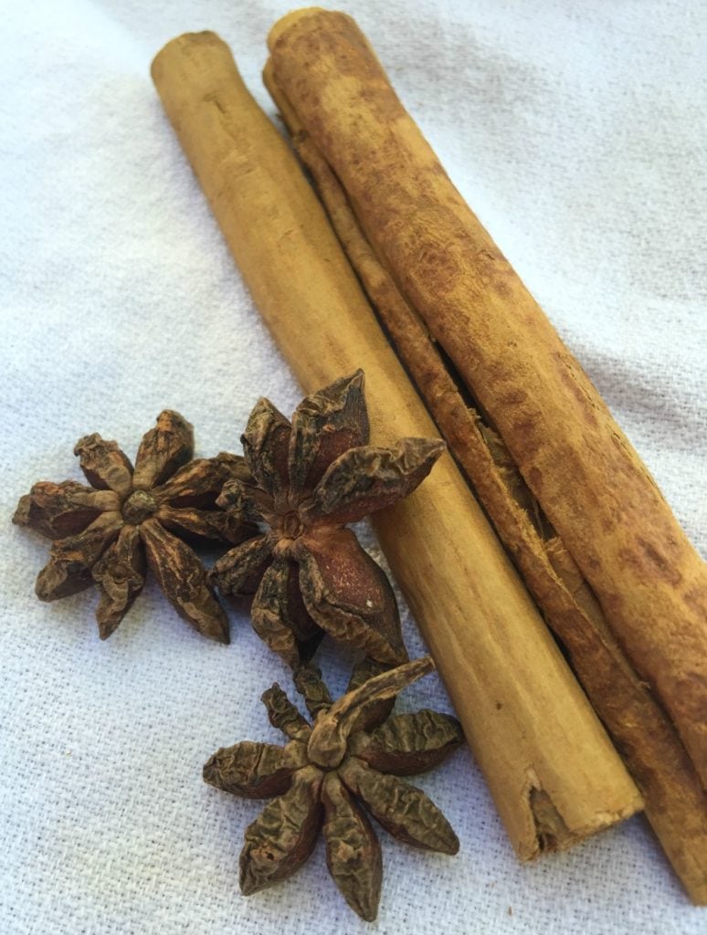 Cinnamon stick and star anise sitting on a white napkin.
