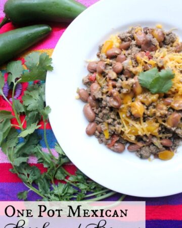 One Pot Mexican Beef and Beans - Savor the flavors of this easy beef recipe. Made in one pot and absolutely perfect for busy weeknights- by Mama Maggie's Kitchen