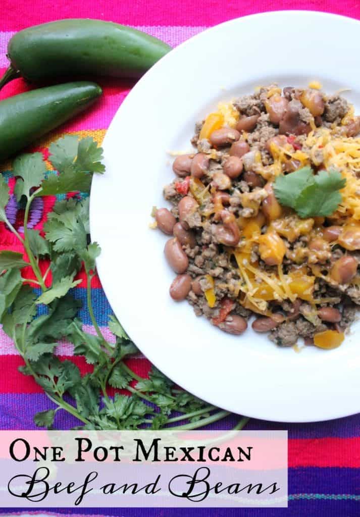 One Pot Mexican Beef and Beans served in a plate and decorate with cilantro and chiles