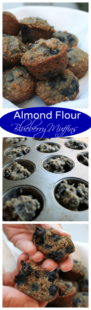 Almond Flour Blueberry Muffins - low carb, low fat, low calorie and absolutely 100% delicious - by Mama Maggie's Kitchen