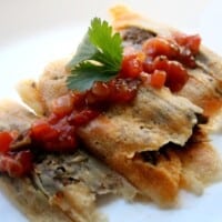 Beef tamales on a white plate topped with red salsa and a cilantro leaf.