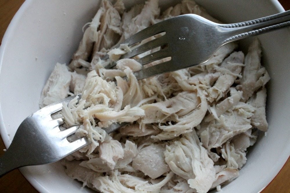 Two forks shredding cooked chicken. 