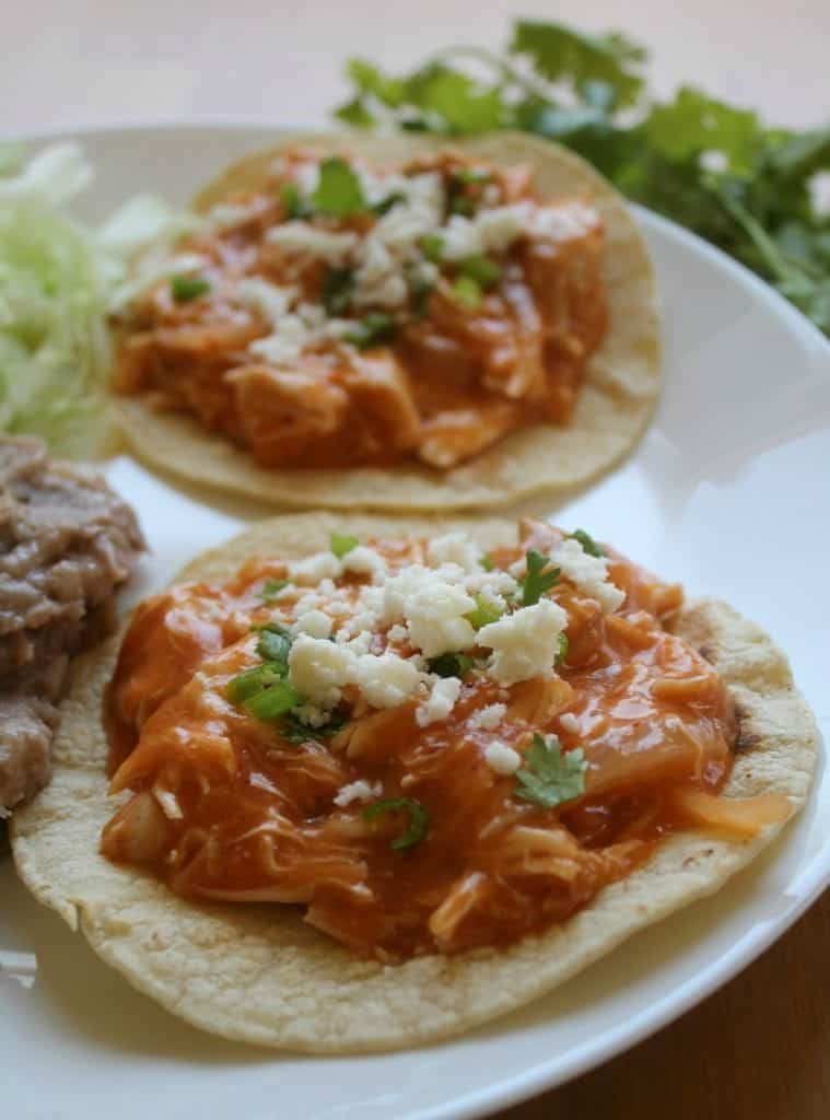 Chicken Tinga Tostadas on a white plate topped with cilantro and cheese.