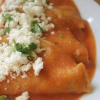 Entomatadas are corn tortillas dipped in Mexican red salsa and topped with white cheese and green cilantro