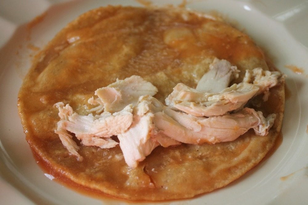 Chicken on tortilla with tomato sauce