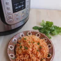 Mexican rice next to an instant pot and cilantro leaves.