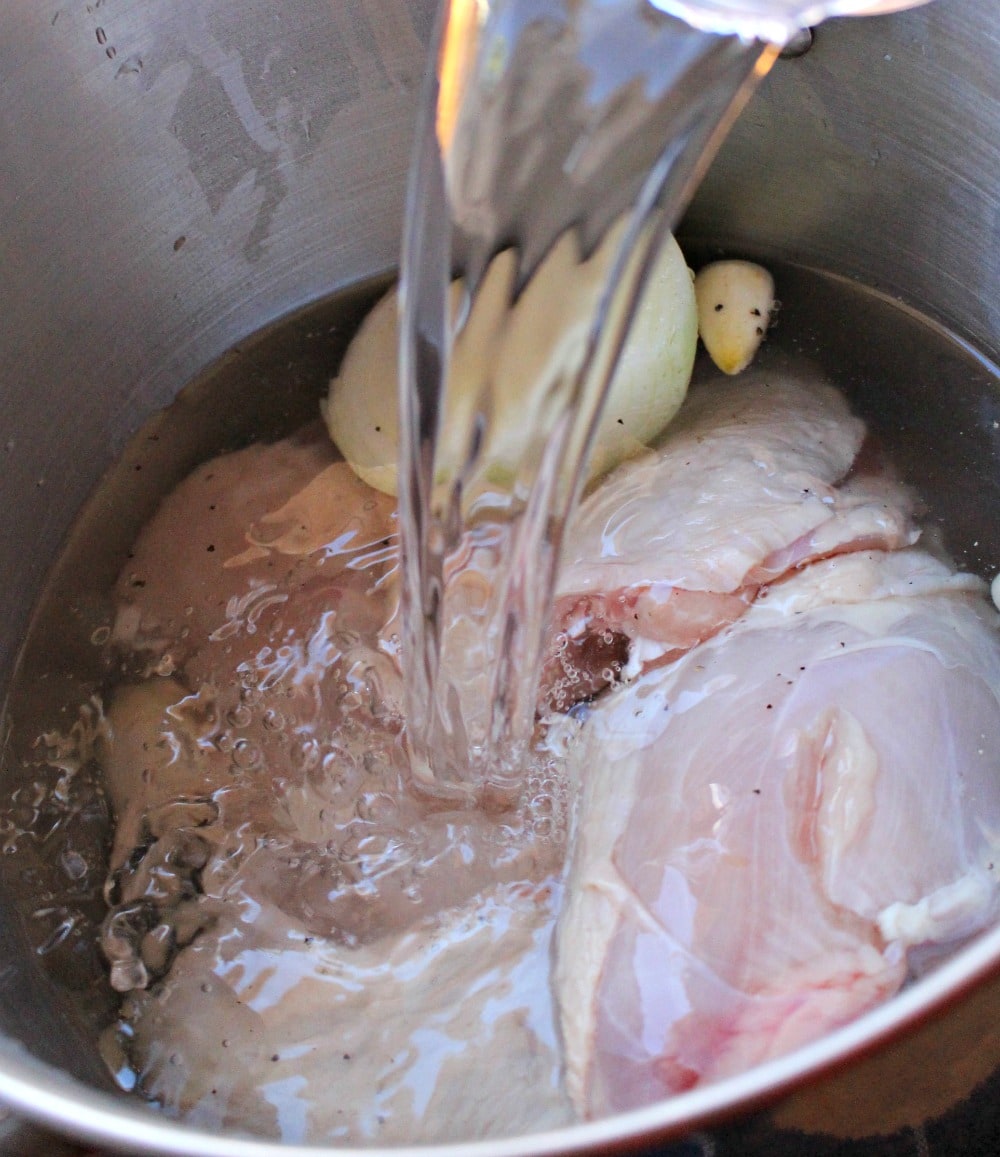 Water pouring into a pot of raw chicken, onion, and garlic. 