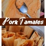 Collage of pork tamales.