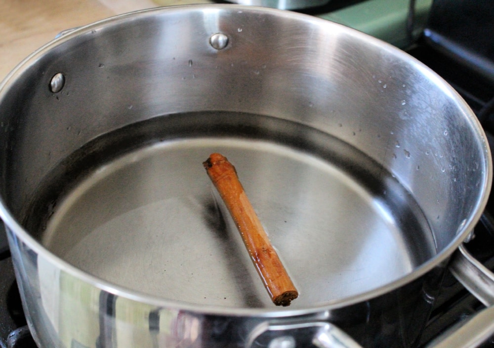 Water and a cinnamon stick in a large metal stock pot. 