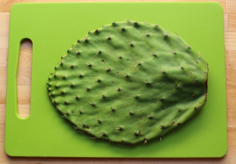 Cactus paddle on a green cutting board with its thorns still intact.