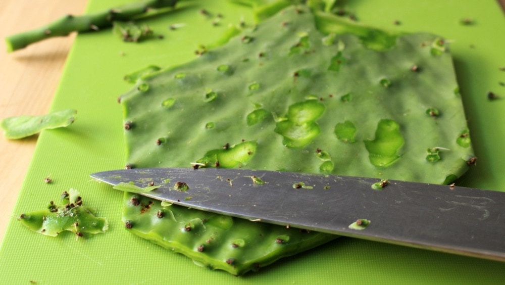 A knife taking off the thorns of a cactus paddle (nopal).