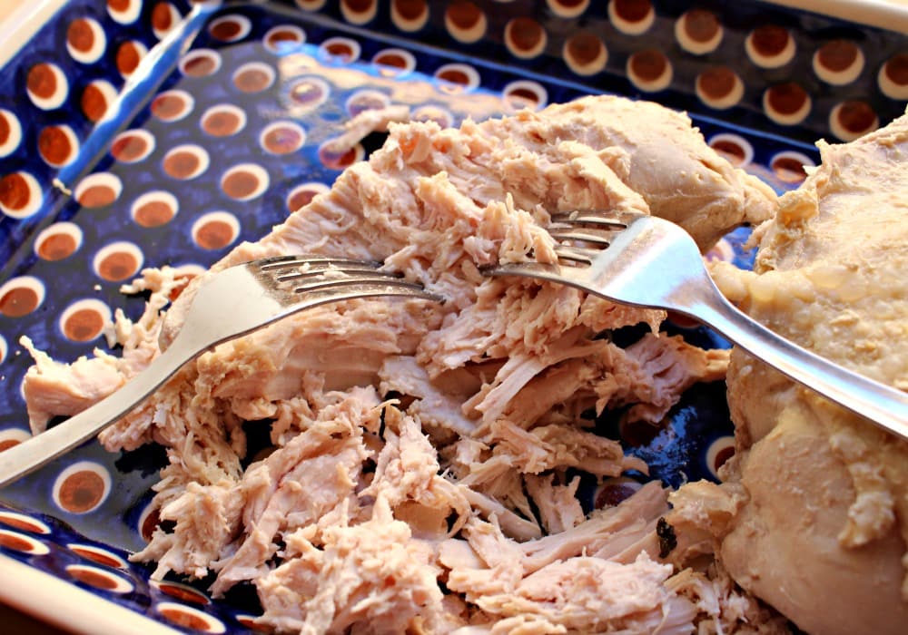 Two forks shredded cooked chicken on a decorative blue plate.