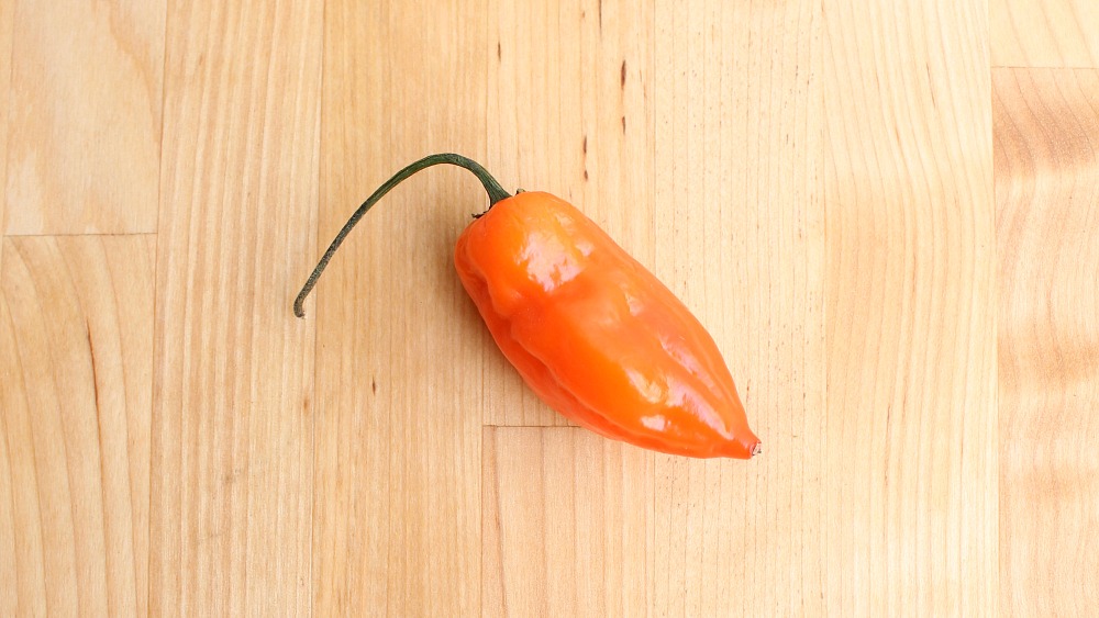 A whole habanero pepper on a wooden surface.