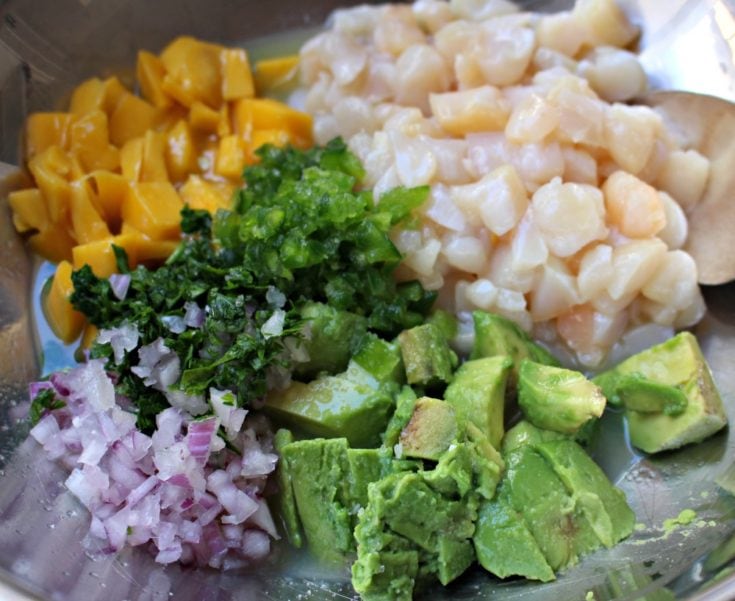 Scallop Ceviche Mamá Maggie's Kitchen