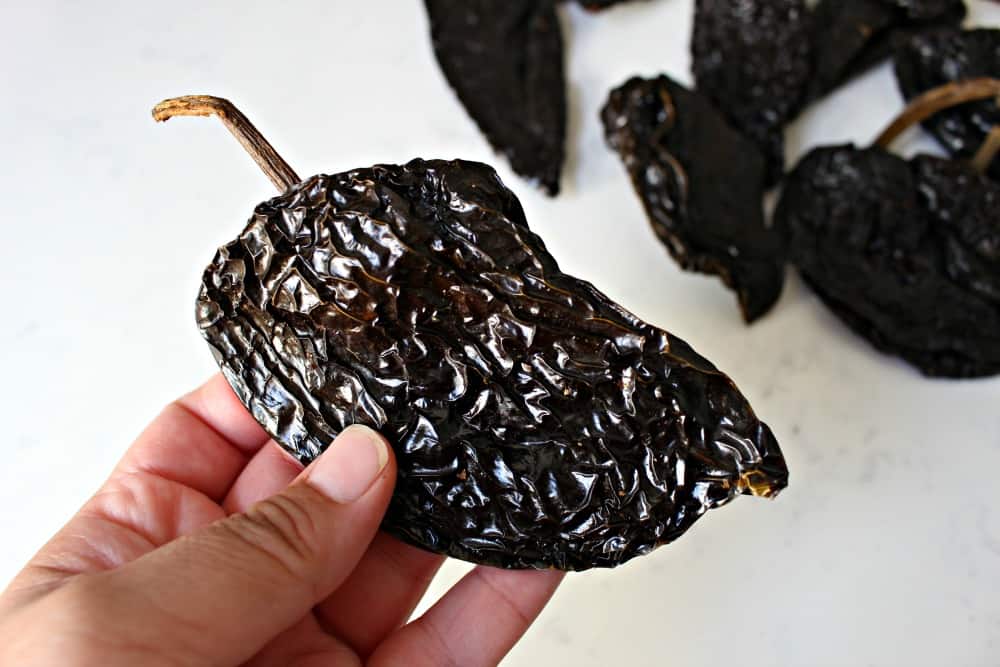 Hand holding a dried ancho chile. 