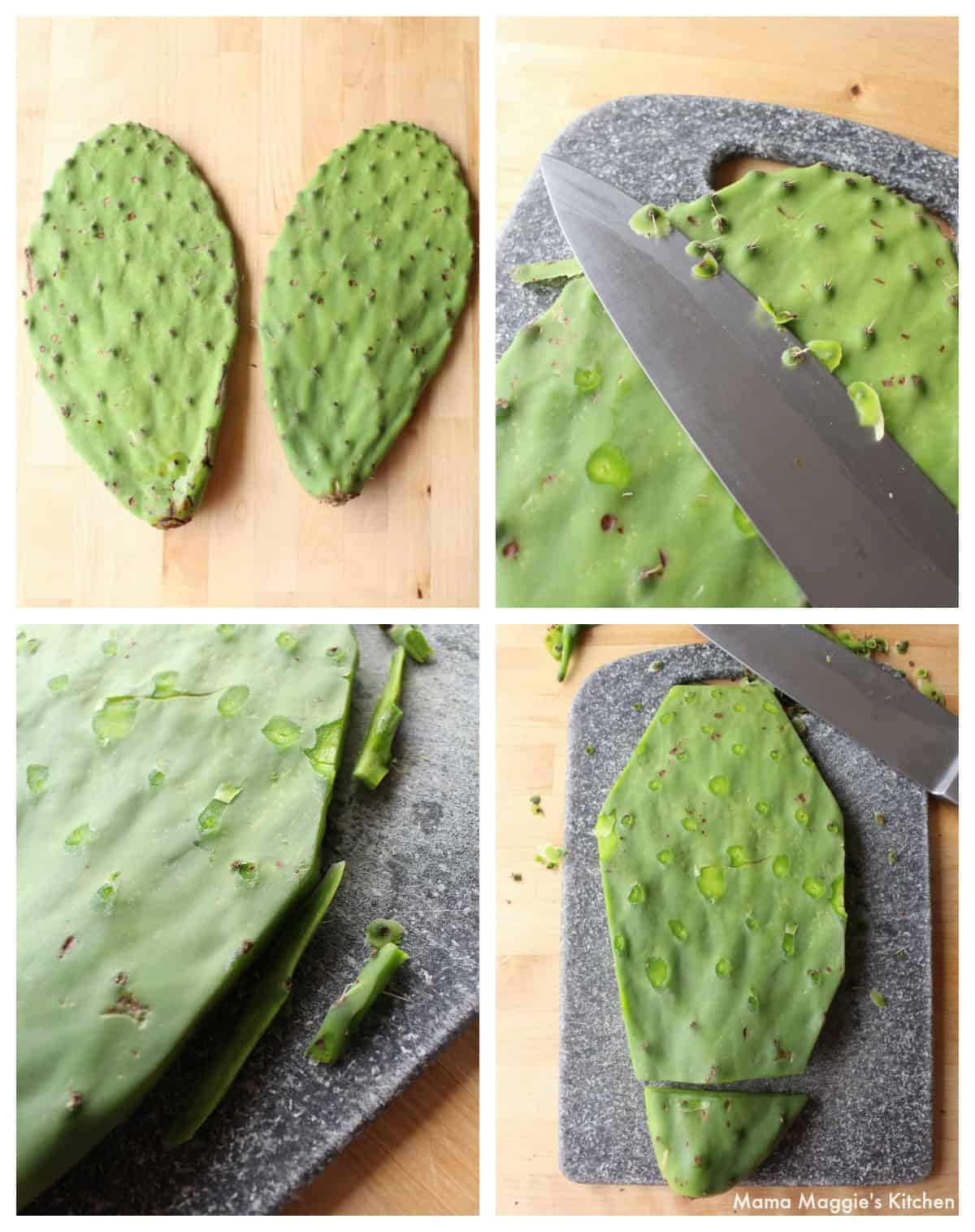 A collage showing how to clean cactus.