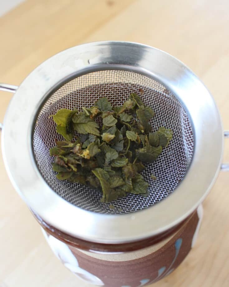 Oregano Tea Mamá Maggie's Kitchen