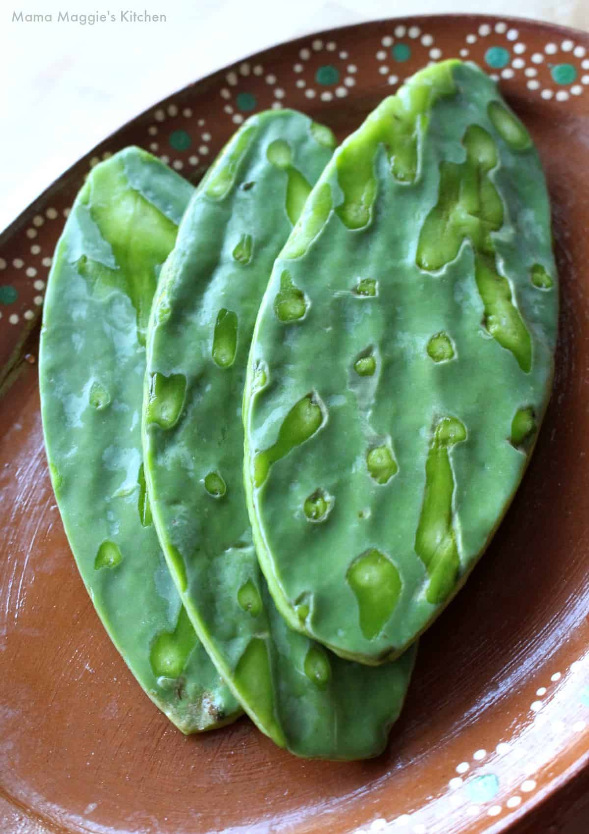 Raw cactus on a decorative clay plate.