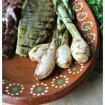 Cebollitas Asadas served on a clay plate next to grilled cactus and carne asada.