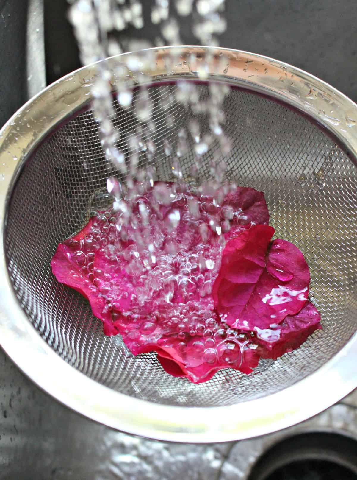 Water pouring into a strainer with bougainvillea leaves inside.