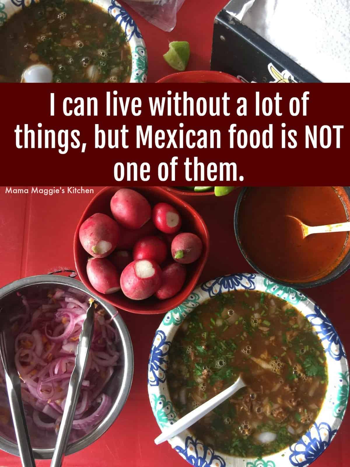 A picture of birria, radishes, and onions.