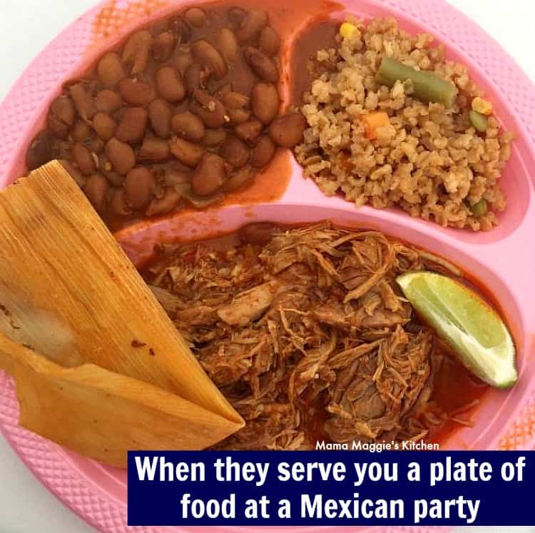 Birria, tamal, rice and beans served on a pink plate.