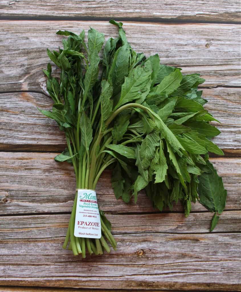 Epazote Mamá Maggie's Kitchen