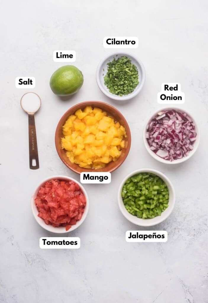 The ingredients needed to make Mango Pico de Gallo labeled and sitting on a marble surface.