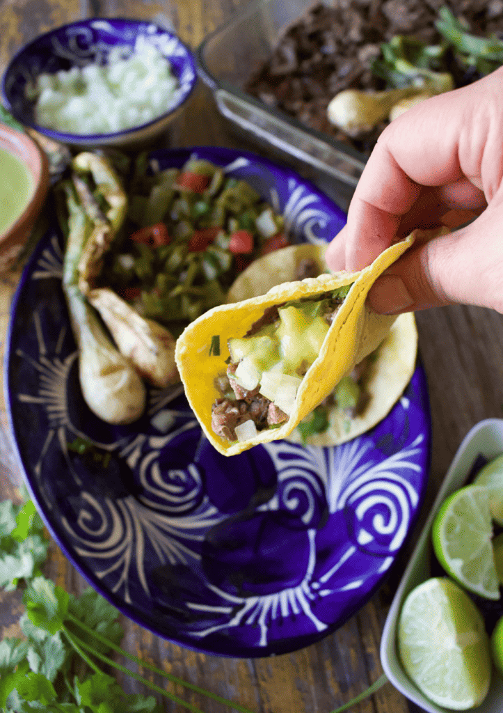 A hand holding a carne asada taco over a blue plate.