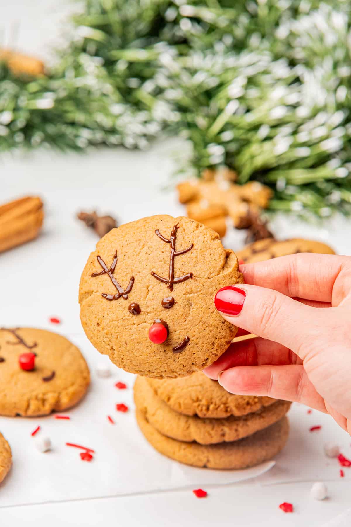 A hand holding a decorated gingerbread reindeer cookie.