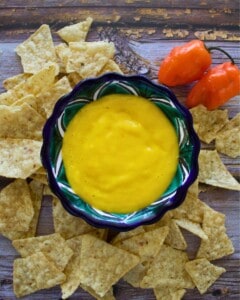 Mango Habanero Salsa served in a decorative bowl surrounded by corn tortilla chips.