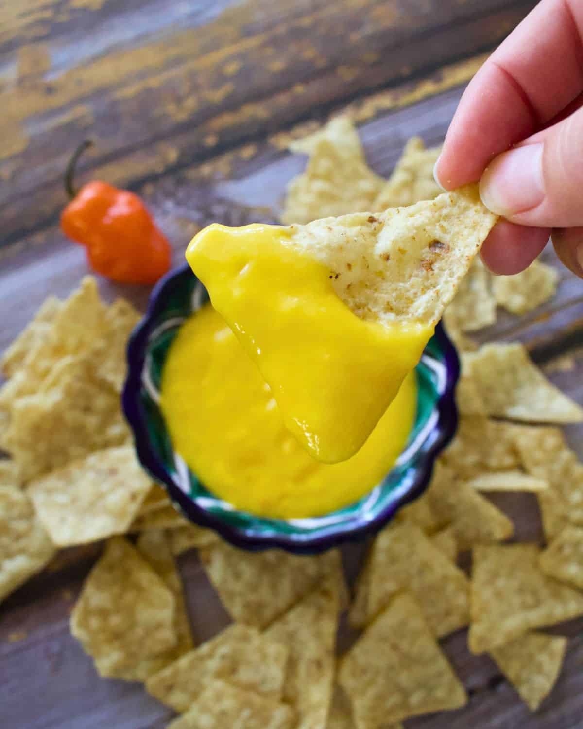 A hand holding a chip with mango habanero salsa.