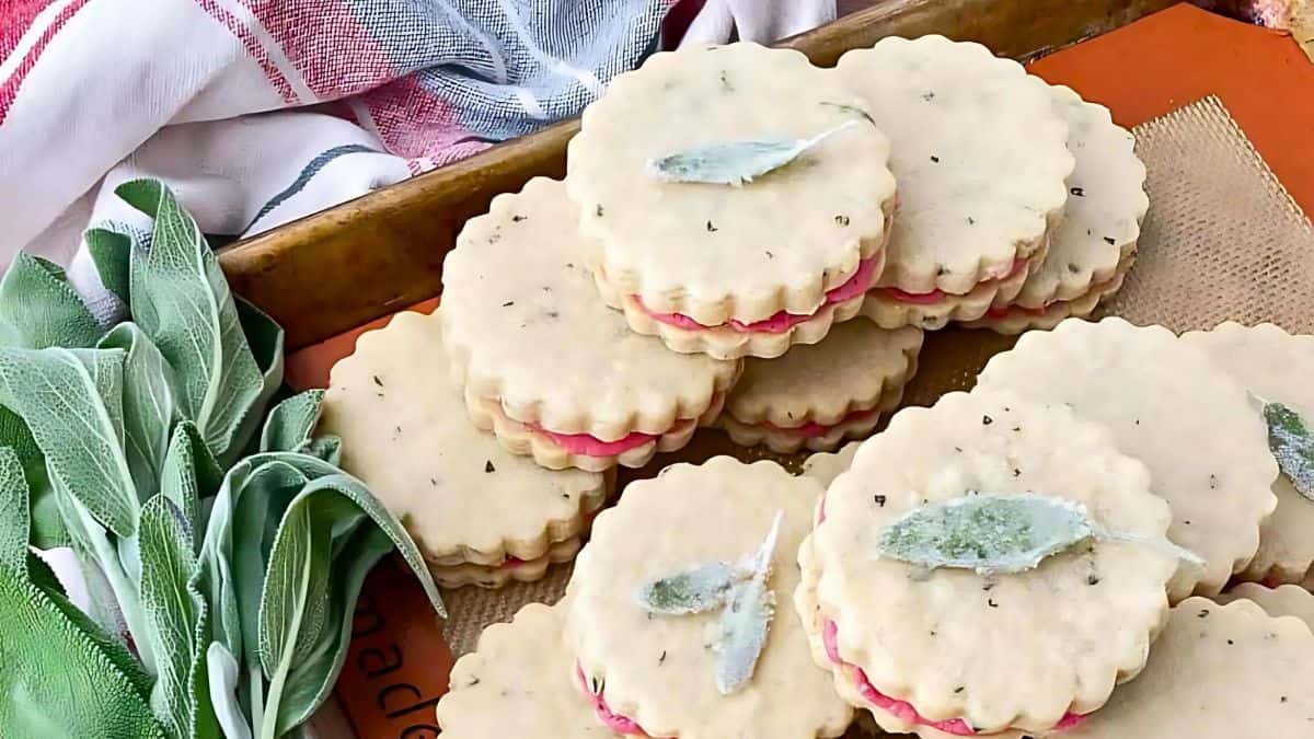 A tray of scalloped-edged cookies with pink filling are decorated with frosted sage leaves. Fresh sage leaves are placed beside the cookies, and a red and white cloth is visible in the background.