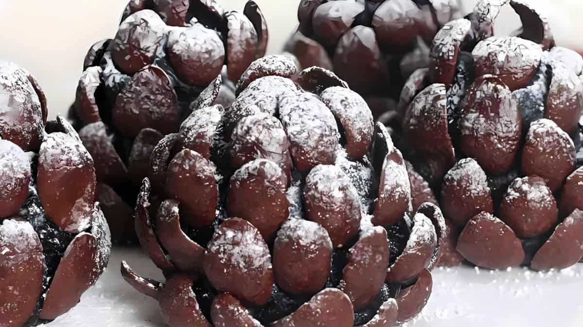 Chocolate pine cones dusted with powdered sugar are arranged on a white surface, resembling pine cones covered in snow.