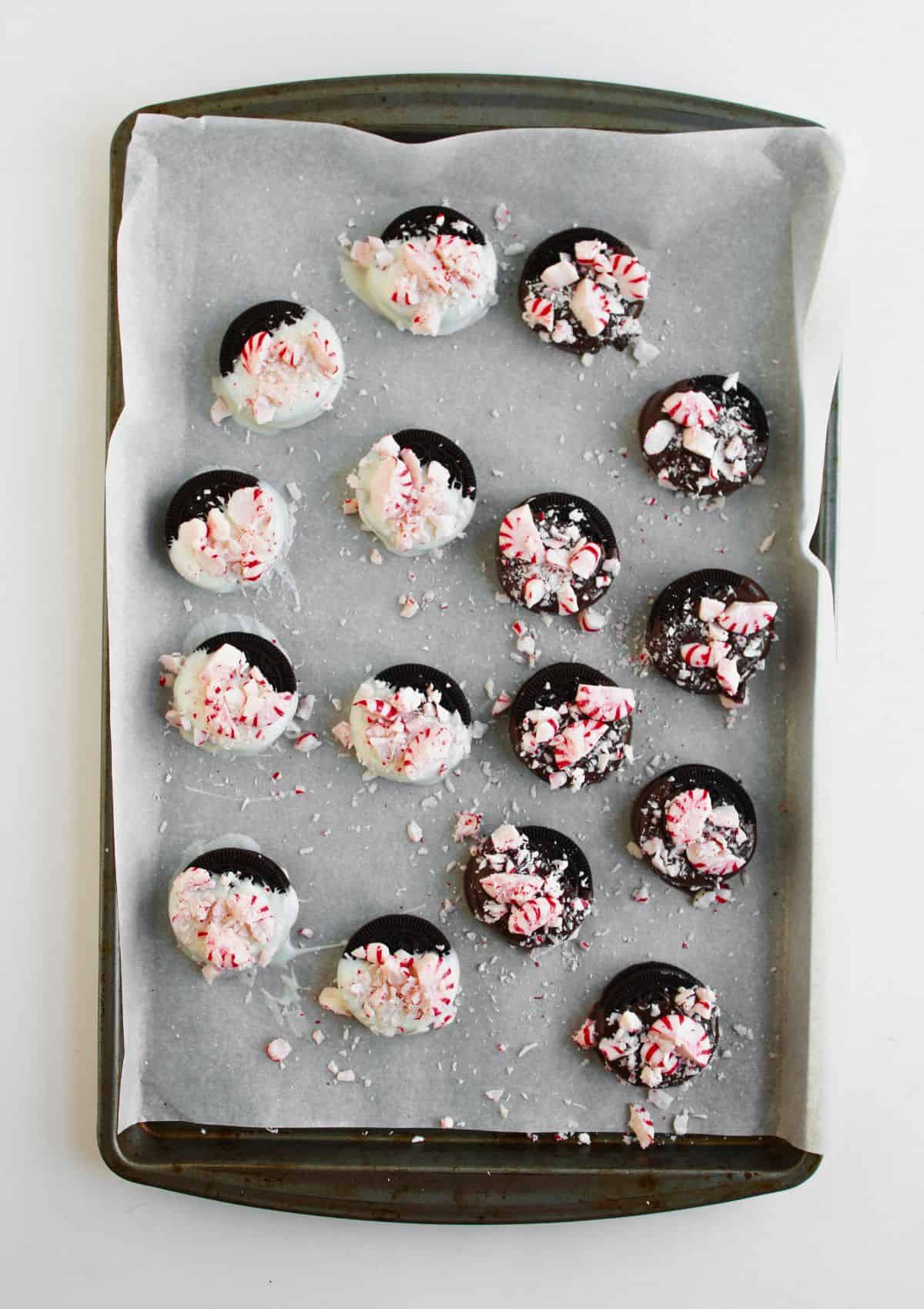 A baking tray lined with parchment paper holds chocolate cookies partly dipped in white chocolate and sprinkled with crushed peppermint candy.